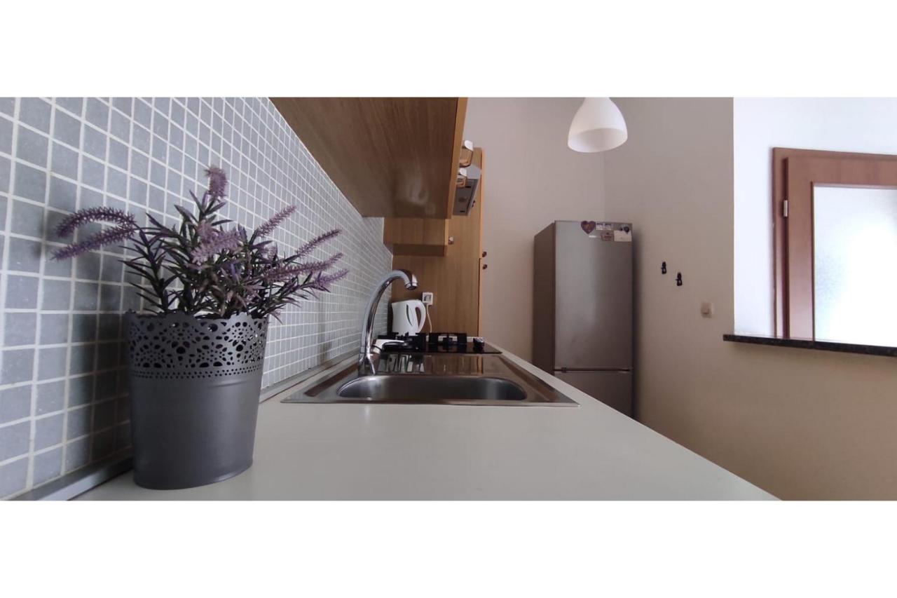 Apartment Flowers Bibinje Ngoại thất bức ảnh